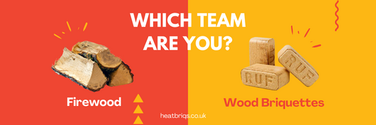 Benefits of Burning Firewood vs. Briquettes