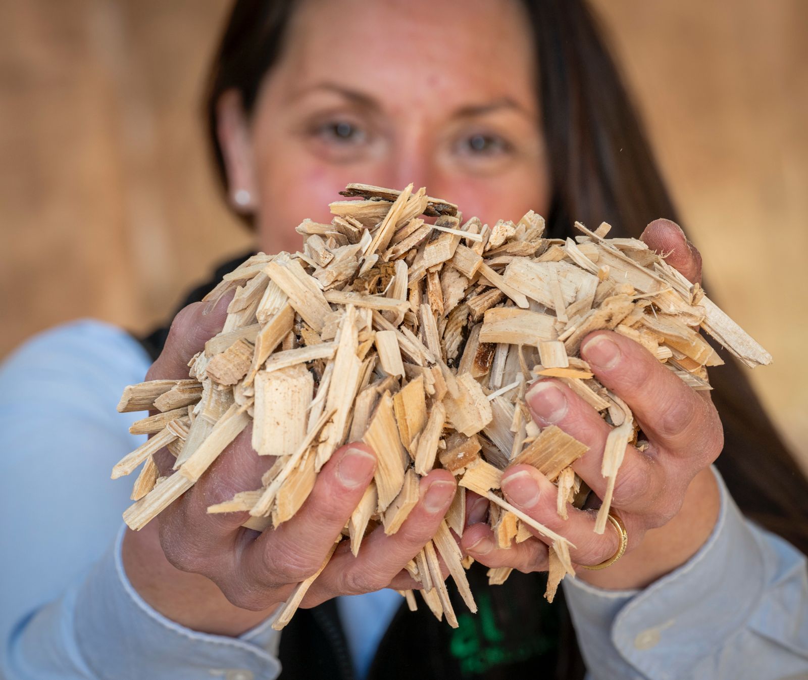 Image of a female person holding two full handfuls of golden coloured wood chips.