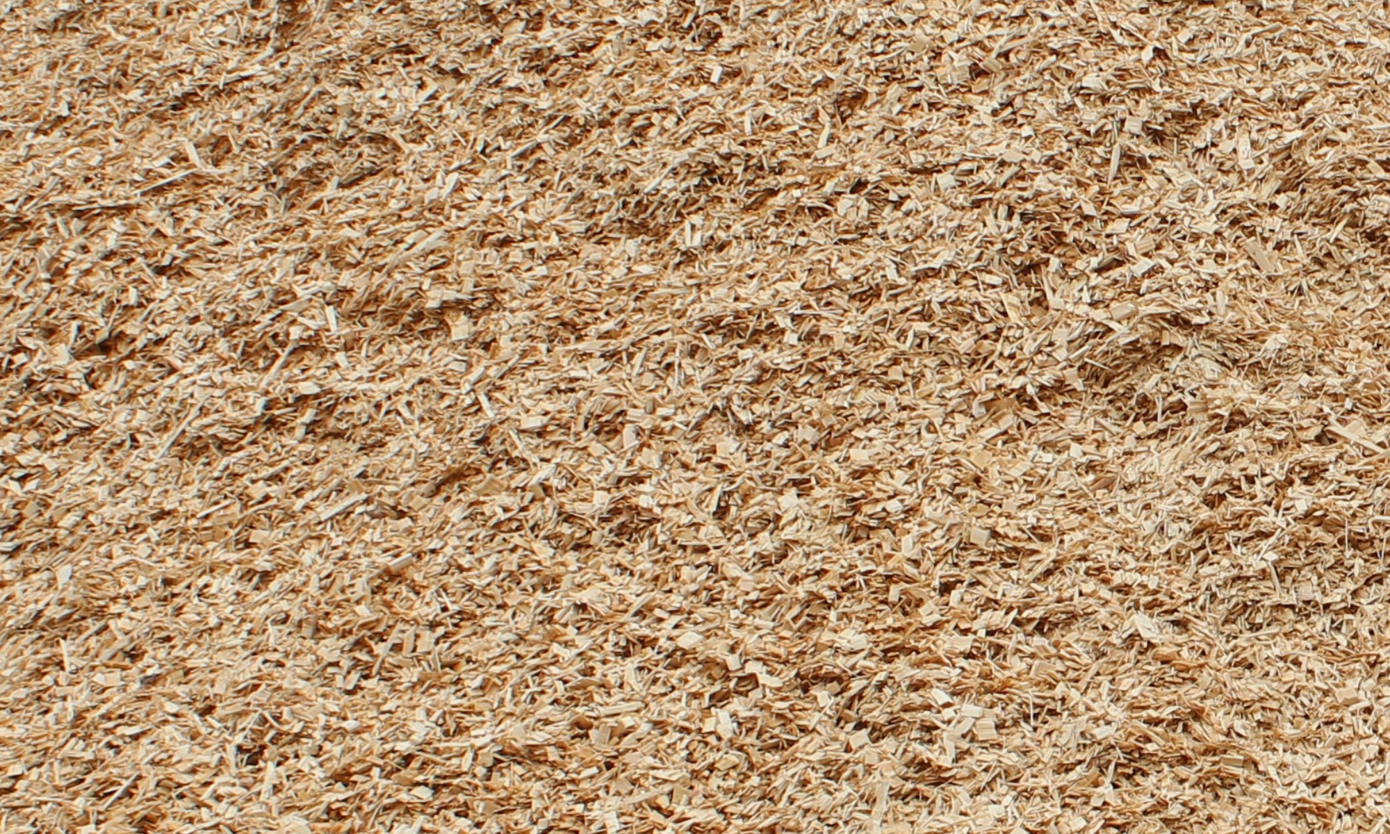 Sawdust raw material ready to enter briquetting process.