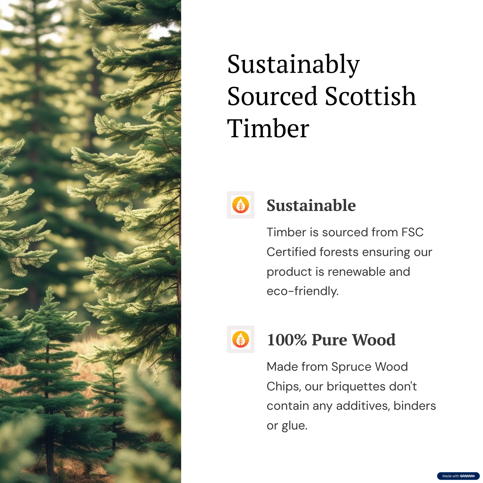 Image with photo of forest and information about sustainably sourced Scottish timber and pure wood material used within the HeatBriqs Firewood Briquettes.